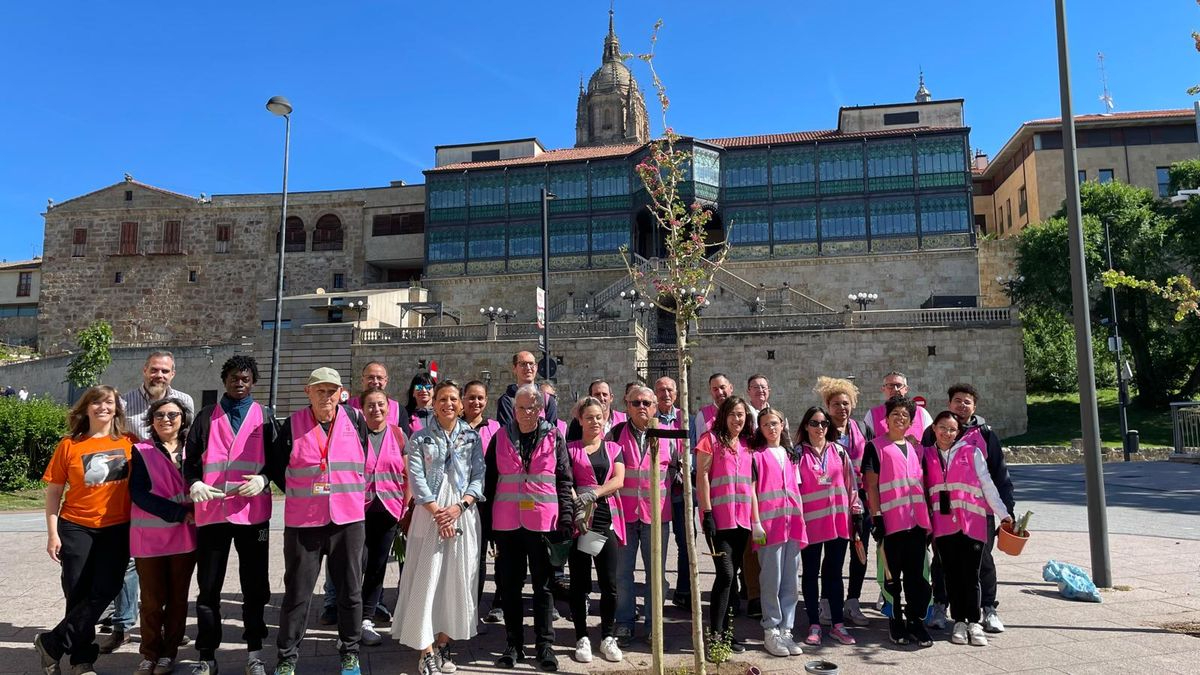 Salamanca reverdece sus calles: Alcorques savios suma apoyos para impulsar la biodiversidad urbana