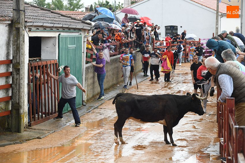 Bocacara honrará desde el jueves a su patrón