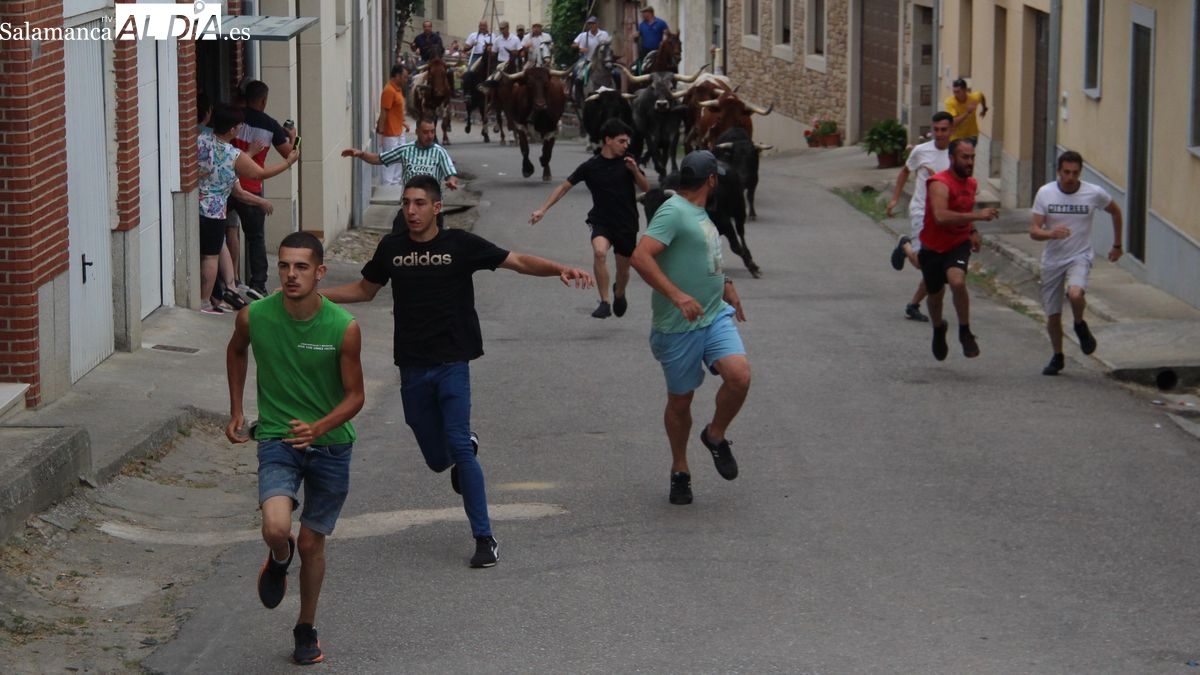 Hinojosa de Duero abre los festejos taurinos de San Juan con un bonito encierro a caballo