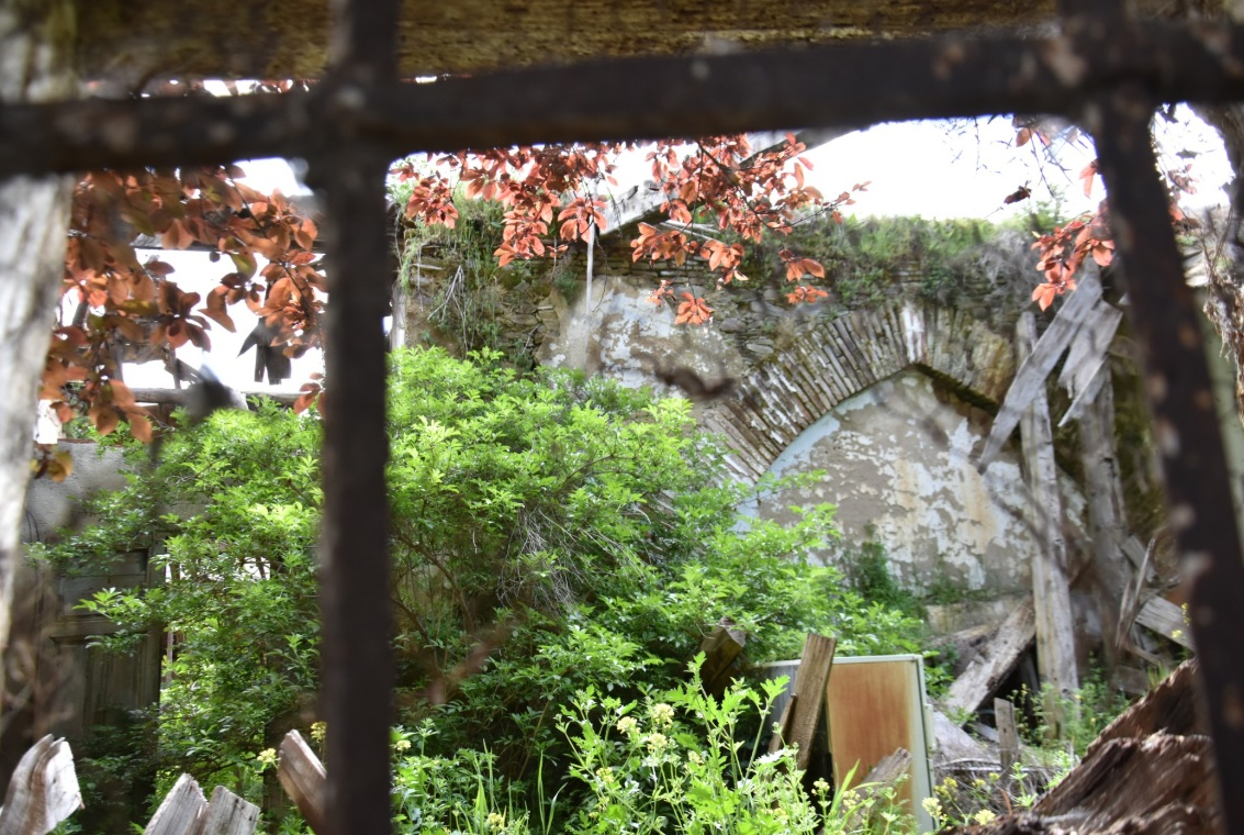 El dedo y el hormiguero