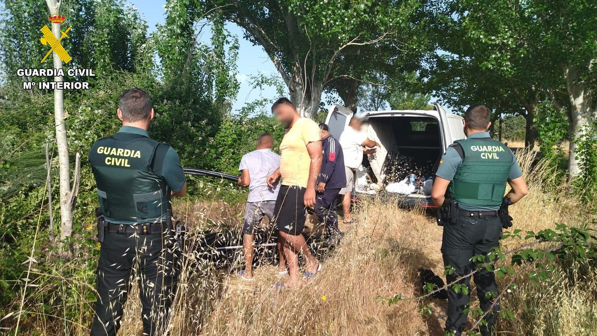 Sorprendidos durmiendo en el bosque tras robar 2.000 kilos de cable de cobre