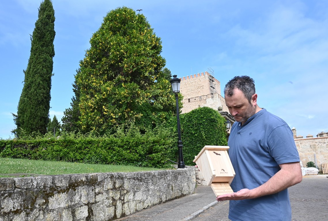 El Ayuntamiento colocará una docena de cajas-nido para murciélagos
