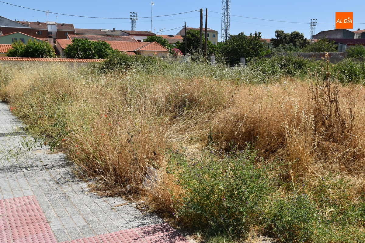 Los propietarios y arrendatarios de solares e inmuebles tienen un mes para limpiarlos