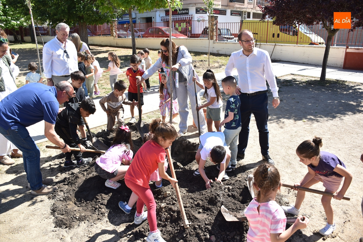Alumnos y profesores del Colegio San Francisco plantan 26 nuevos árboles en su patio