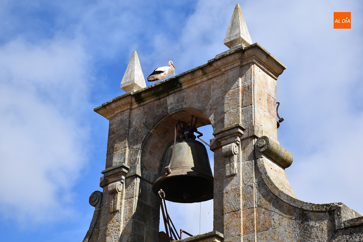 El Ayuntamiento sondea cuántos menores de 36 años hay interesados en adquirir vivienda pública