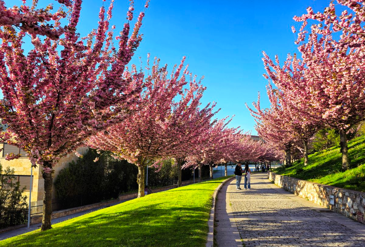 El paraíso y la juventud eterna 