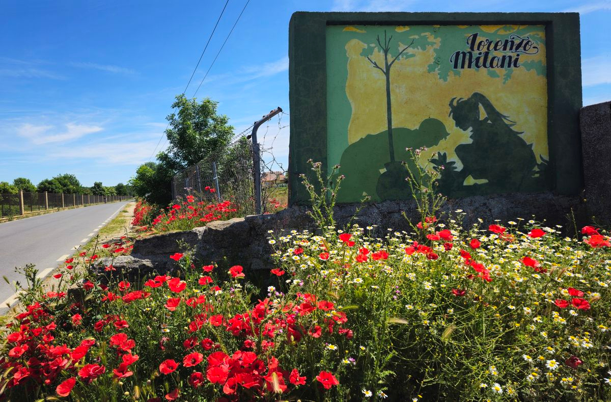 Aprender para crecer 