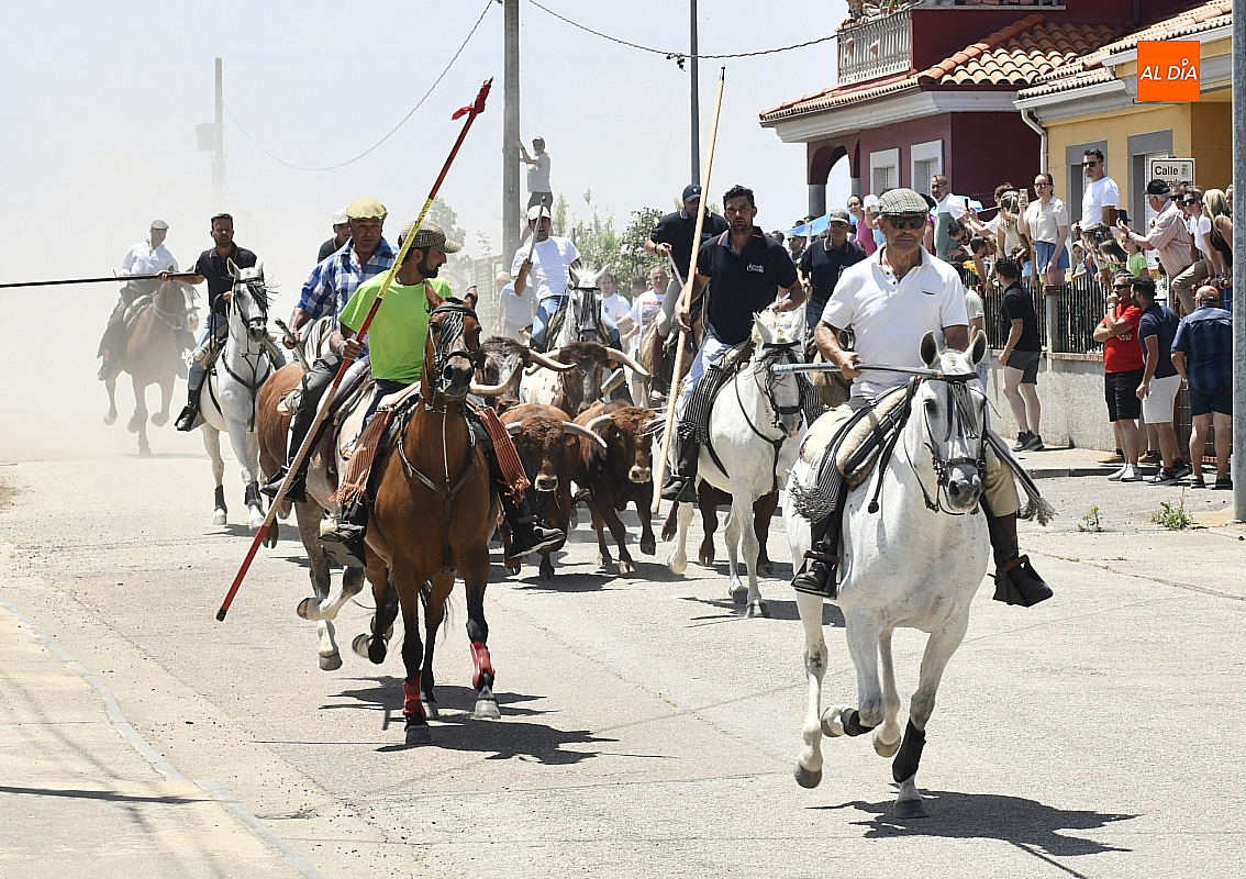 Un brillante encierro a caballo, paella popular y clase práctica de tauromaquia clausuran el Corpus en La Fuente de San Esteban