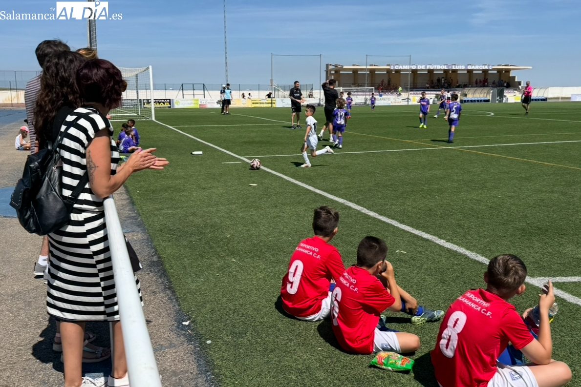 Ambiente festivo y multitudinario en el Luis García para vivir el XII Torneo Fútbol 7 Ciudad de Peñaranda