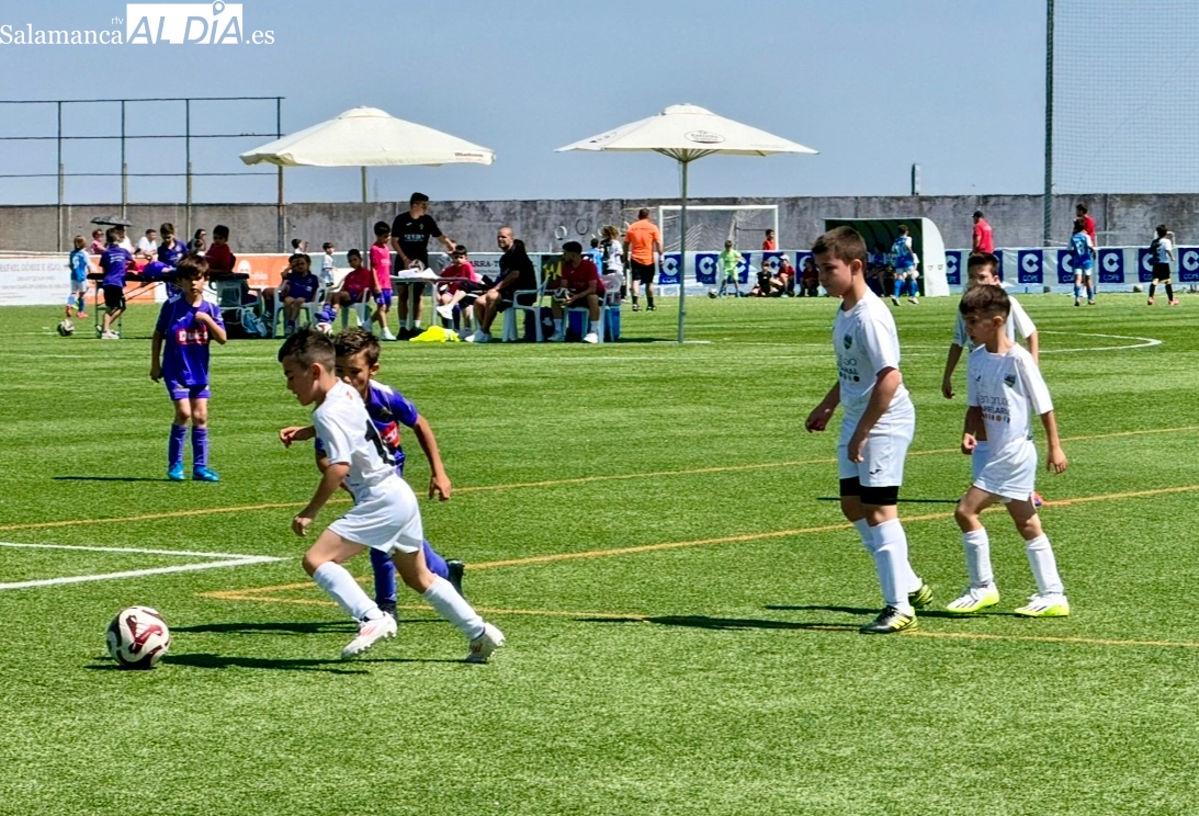 Más de 250 jugadores y masivo apoyo: El CD Peñaranda valora el XII Torneo de Fútbol 7 Ciudad de Peñaranda