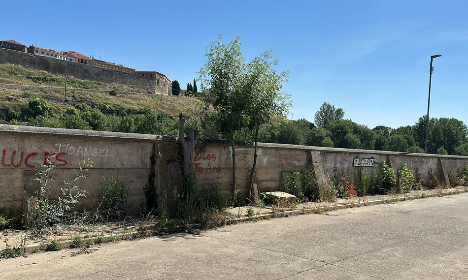 Vecinos del Arrabal del Puente reclaman la retirada de la vegetación de la calle Muro
