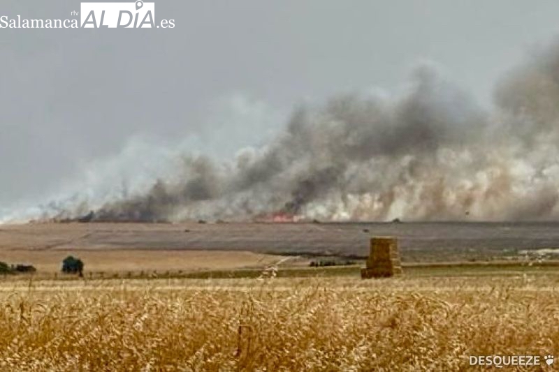 Hasta 13 medios, entre aéreos y terrestres, logran extinguir un potente incendio de cultivos en Malpartida