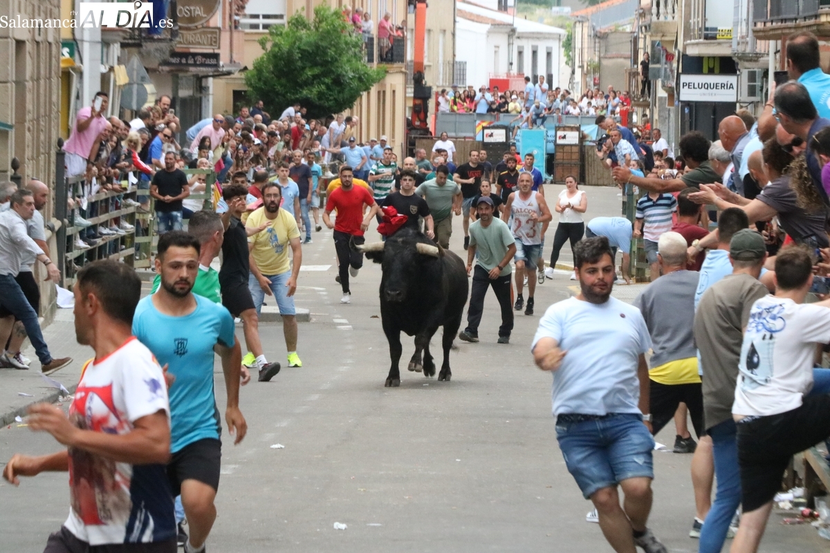  El IX Toro de Cajón del pre-Corpus pone Vitigudino hasta la bandera