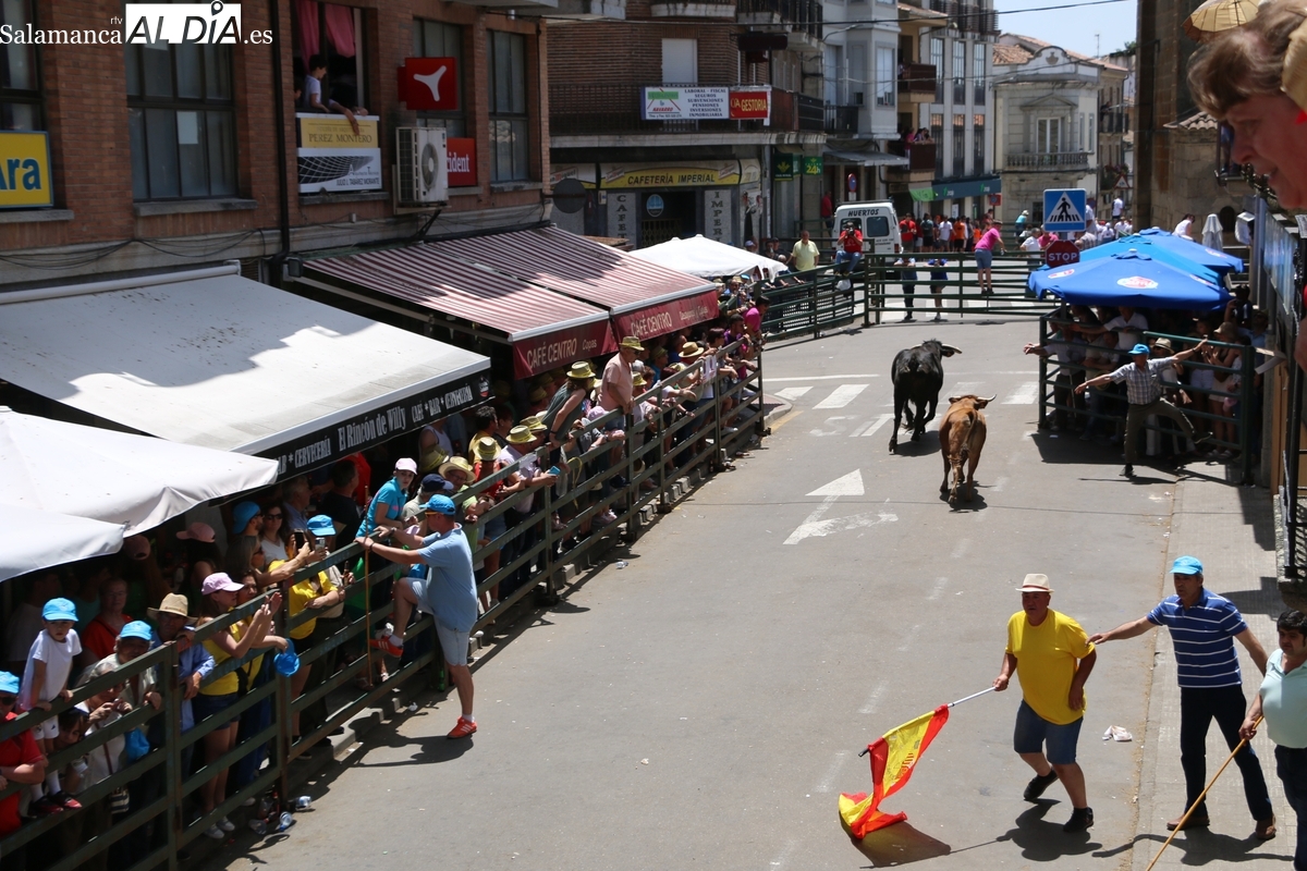 Encierro de trámite el viernes de Corpus en Vitigudino