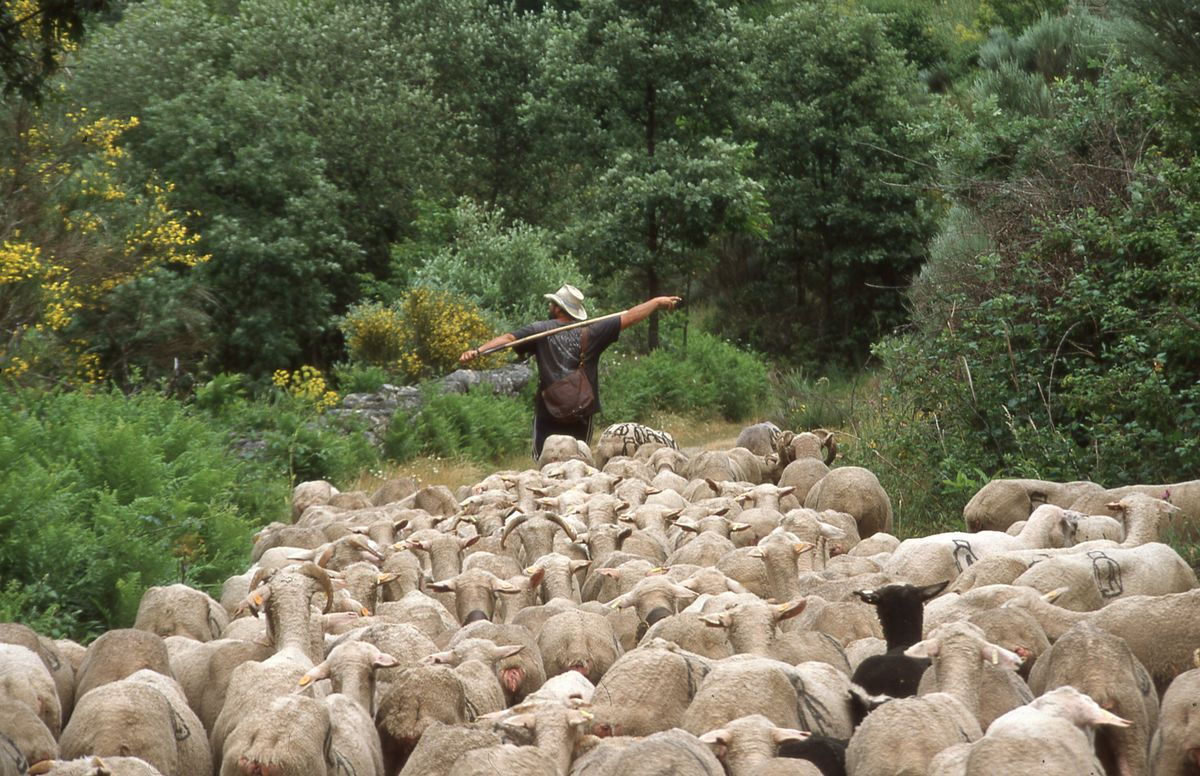 De lo global a lo local