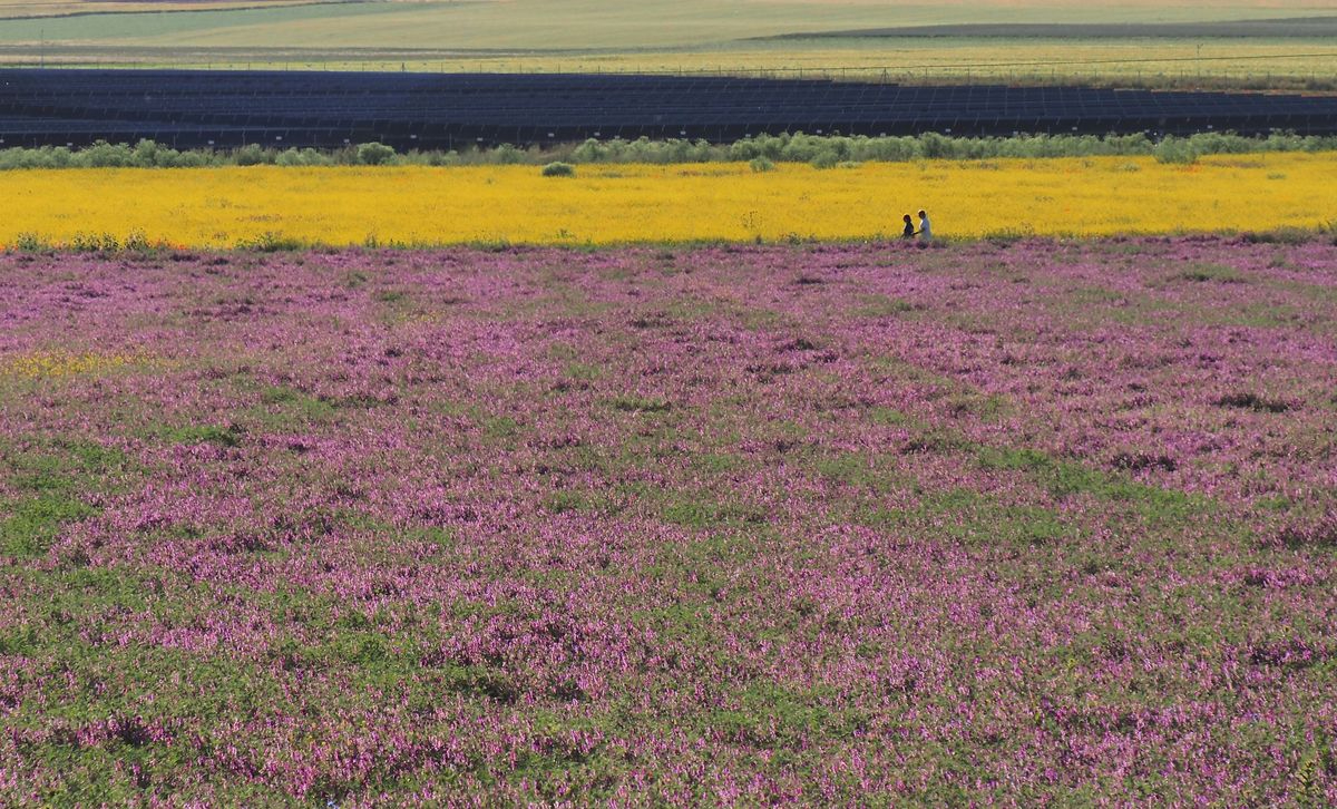 Un lugar de ensueño 
