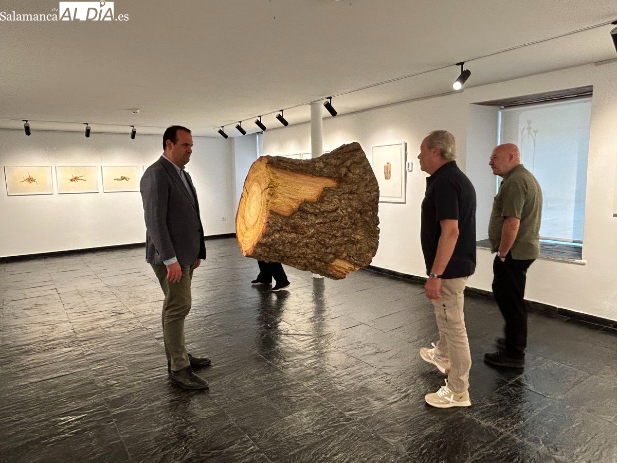 Salamanca acoge la muestra Árbol de Enrique Reche, uno de los más firmes pilares del hiperrealismo español