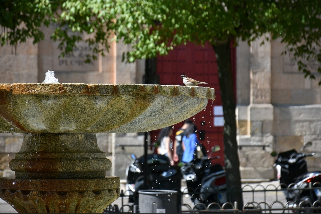 La mañana inesperada