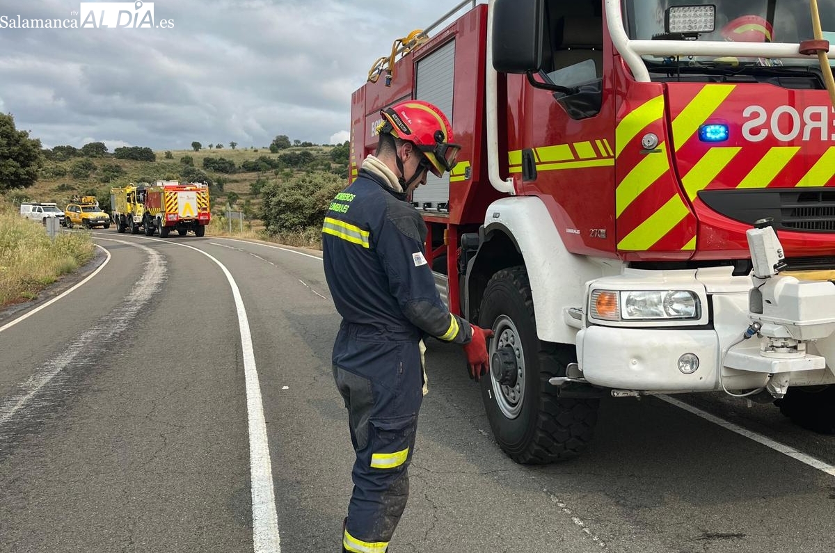 Controlado un incendio forestal en La Fregeneda, el primero de la temporada en el Parque Natural Arribes del Duero 
