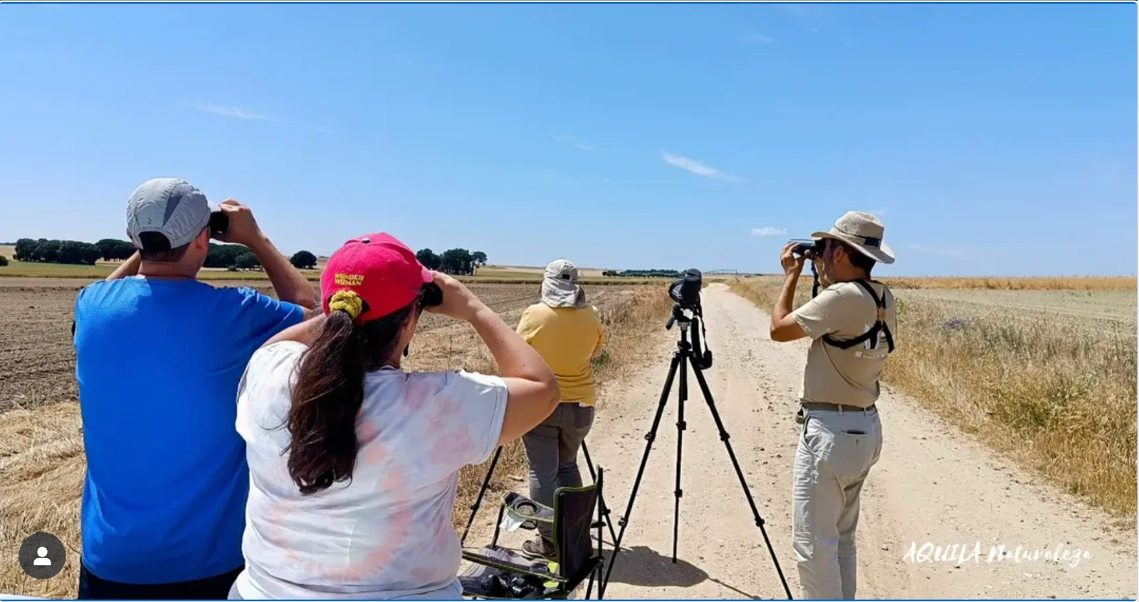 Rutas, talleres y acciones para cuidar y proteger las aves en Salamanca. ¿Quieres participar? 