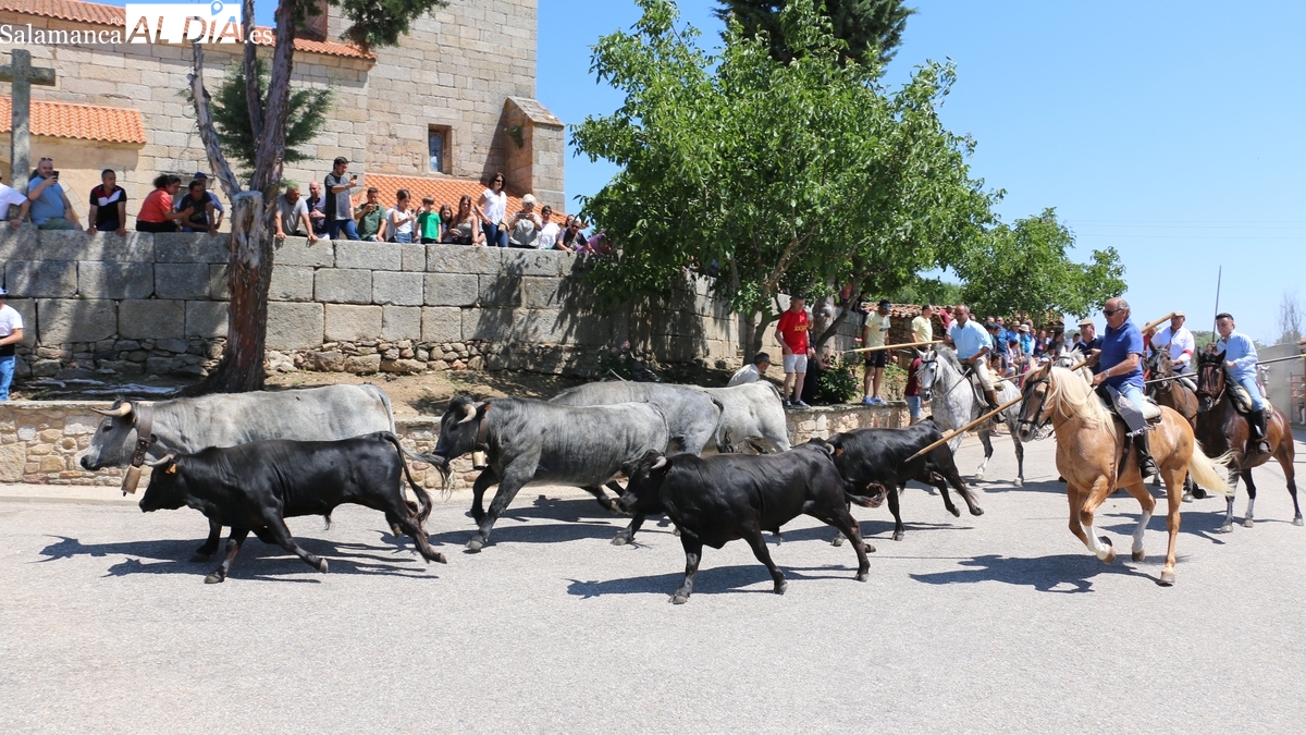 Bogajo presenta su programa completo para las Fiestas de San Juan