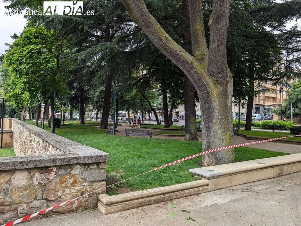 Salamanca blinda sus parques y zonas verdes ante la amenaza de fuertes vientos