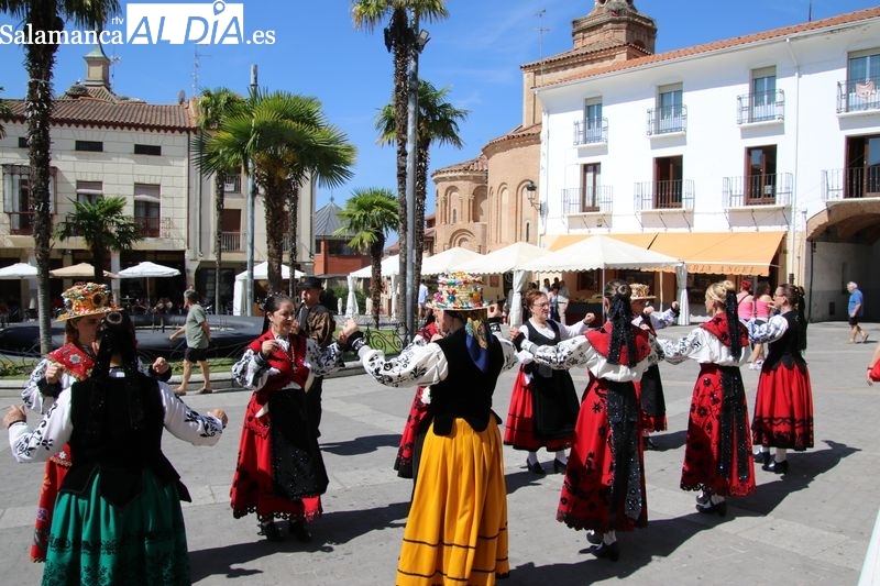 El PSOE de Alba de Tormes lamenta una feria de San Antonio en su mínima expresión