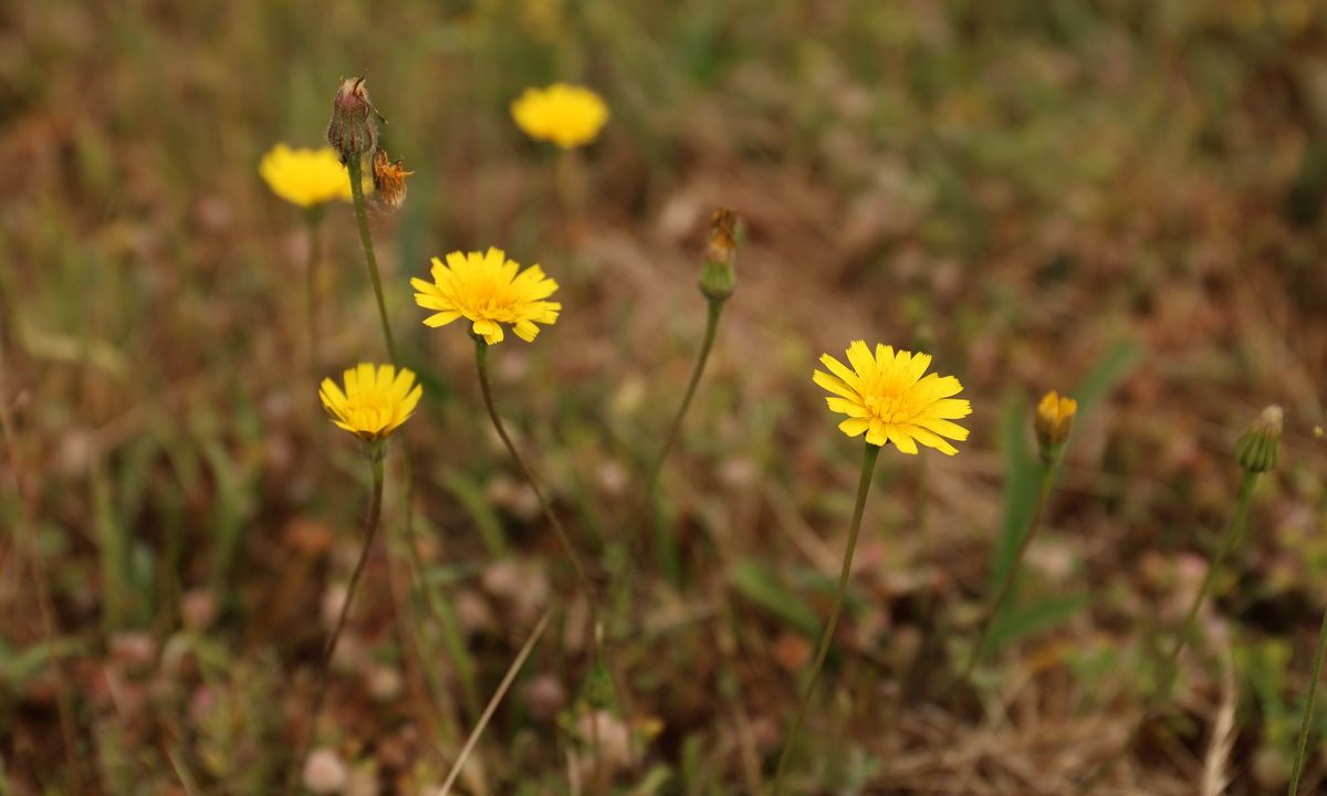 ¿Quién no puede ser feliz? 
