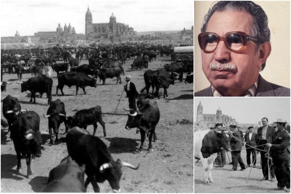 La revista ganadera más antigua de España es salmantina y alcanza su número 3.000