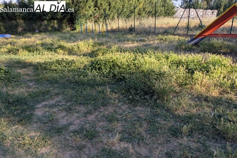 Quejas por el lamentable estado y el abandono absoluto del parque canino