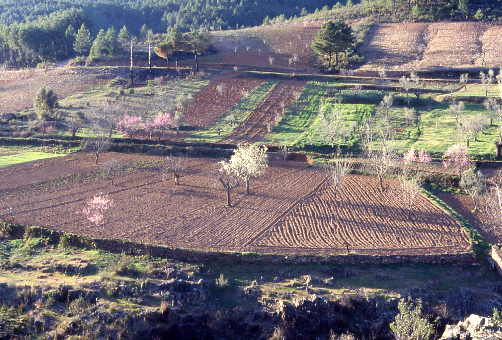 Condiciones favorables de las comarcas rurales españolas
