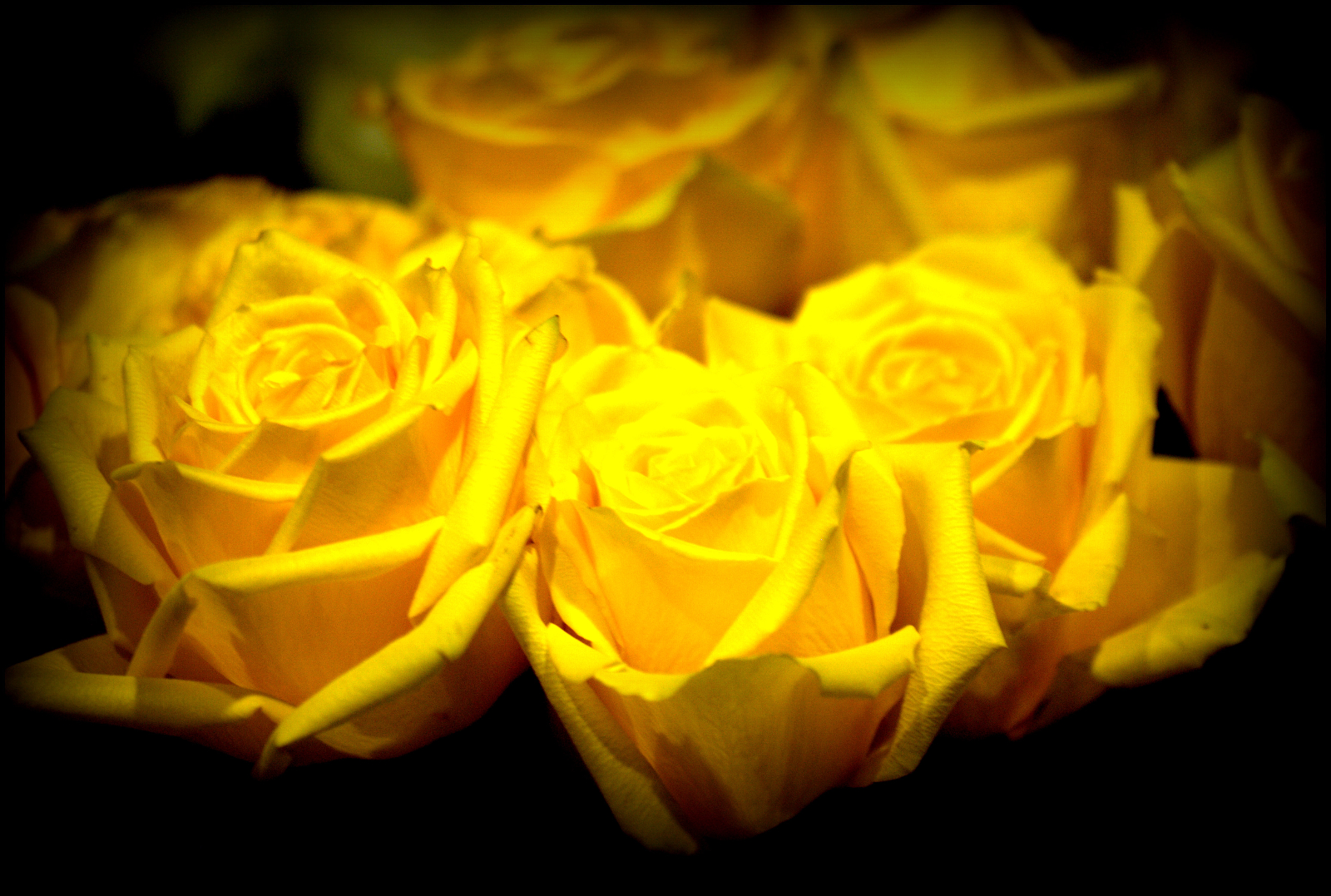 El lenguaje del paisaje urbano