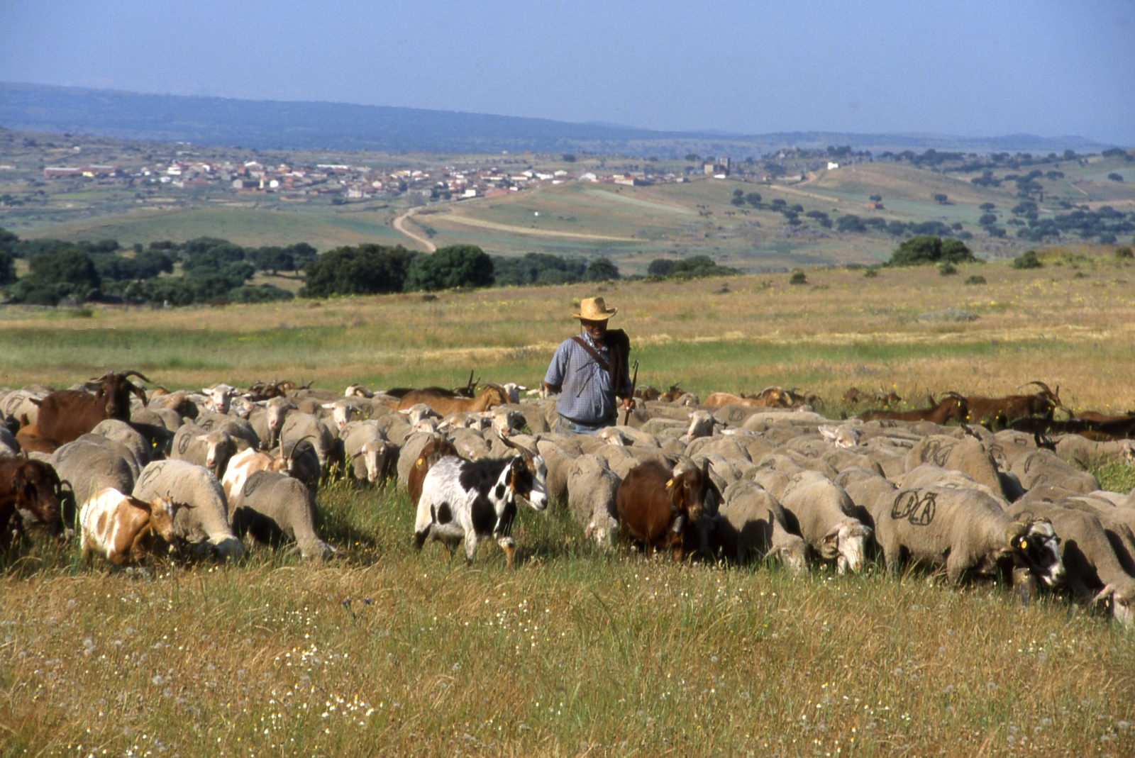 La nueva actividad turística como complemento de las actividades tradicionales y compatibles con la preservación del medio ambiente