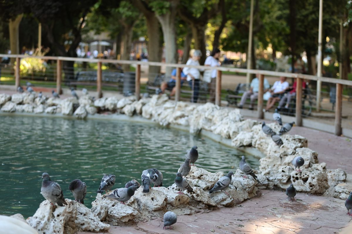 Momentos de disfrute