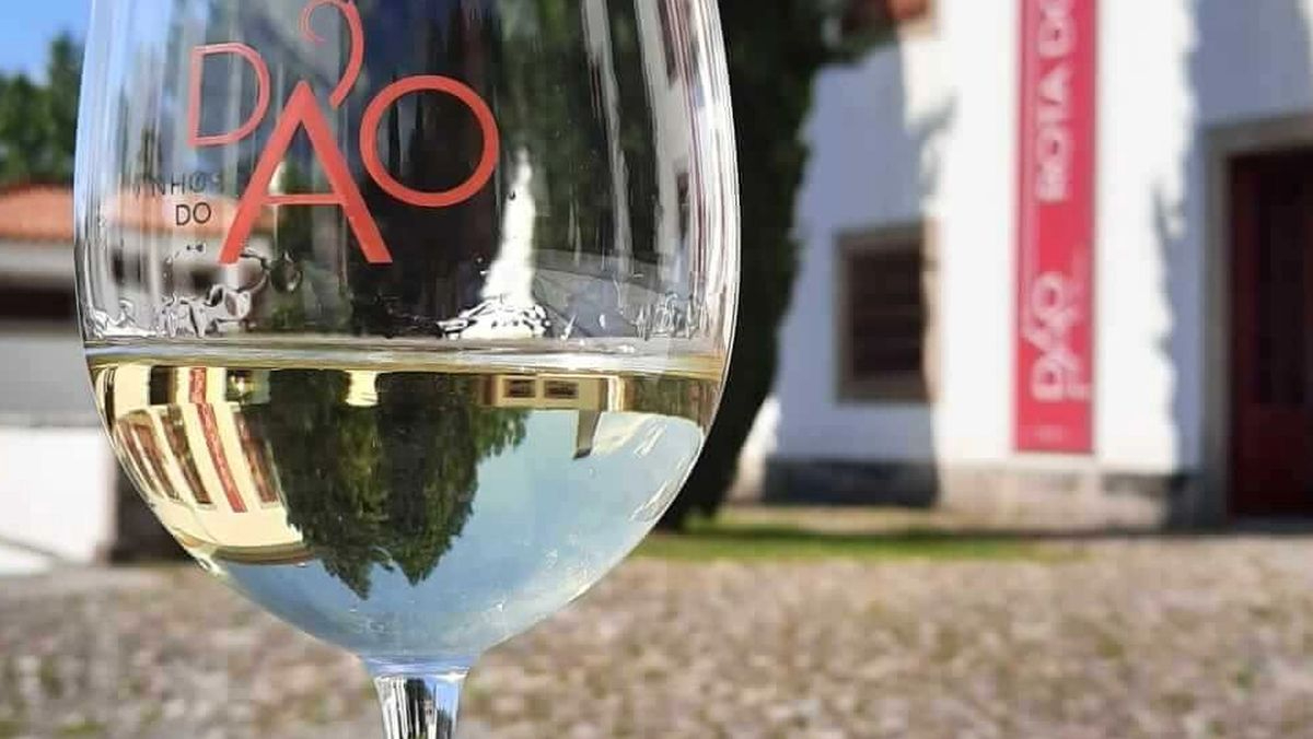 El enoturismo se sofistica en el Dão: un viaje al corazón del vino portugués