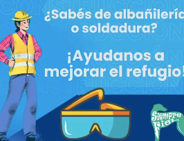 SOS de la protectora Siempre Fiel: se buscan manos solidarias para mejorar el hogar de sus perros