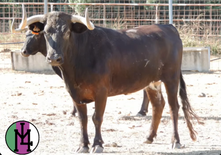 Navasfrías tendrá un Gran Prix y el VI Concurso Comarcal de Recortes en su Semana Cultural