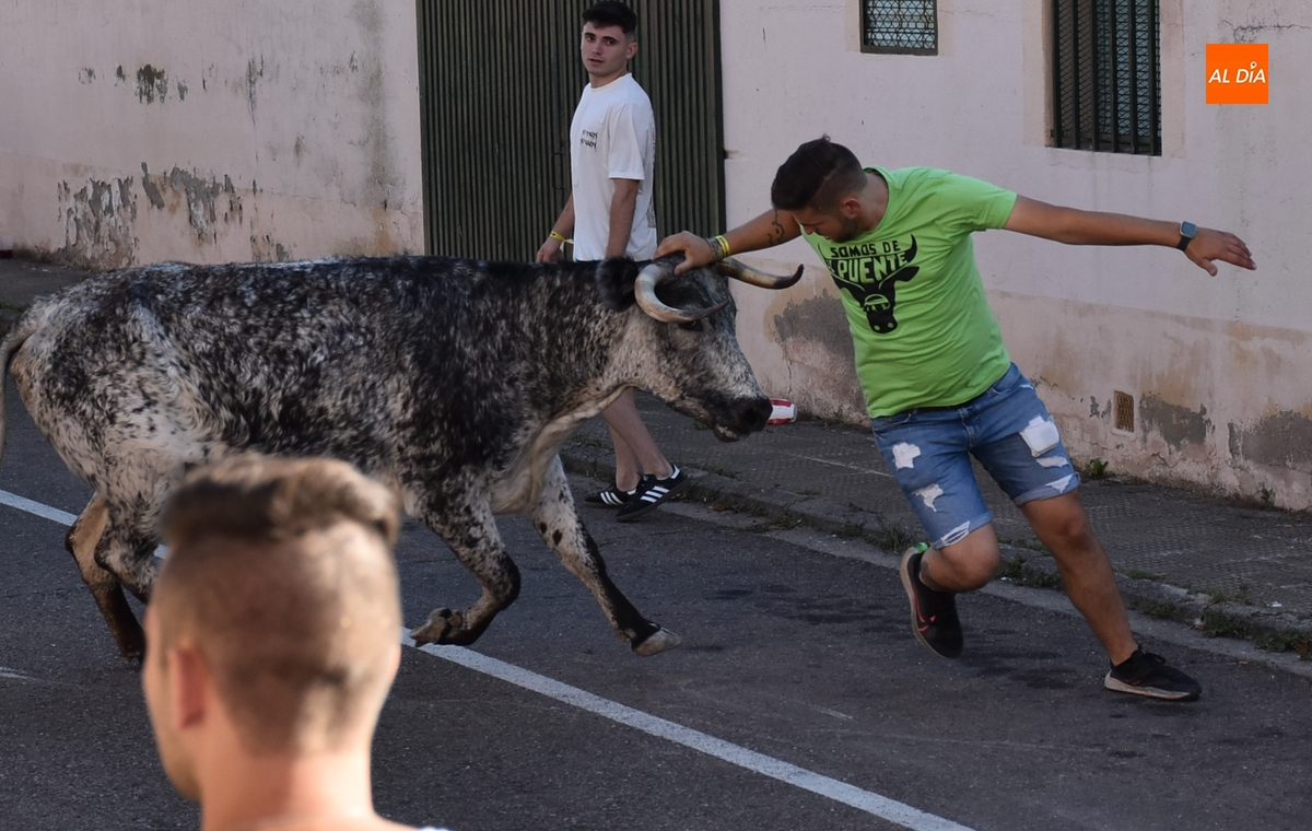 Pipe Martín pregonará las fiestas del Barrio Nuevo, que tendrán una competición de Humor Amarillo
