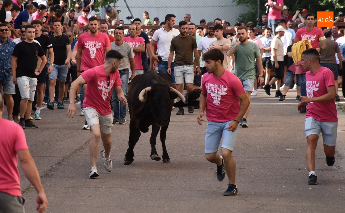 El Barrio Nuevo vive su gran fiesta anual con dos vacas de gran juego y una que se lesionó al salir