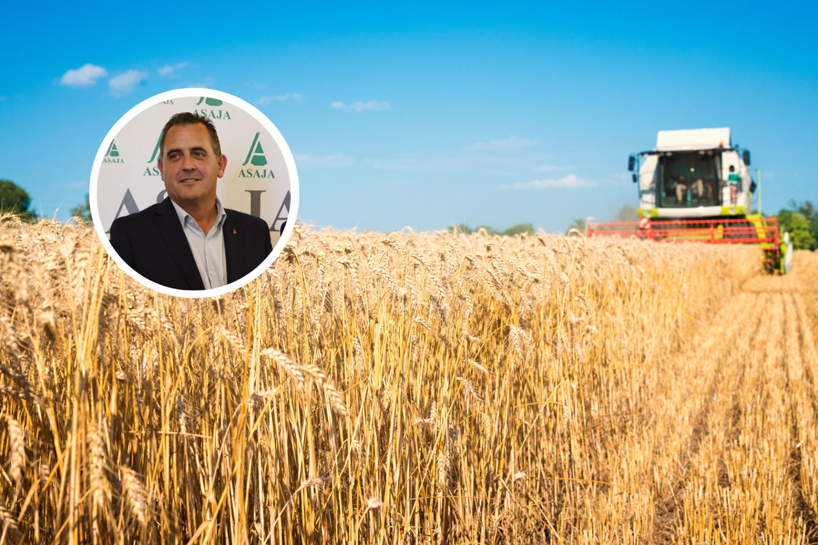 Los altos costes ahogan una cosecha récord de cereal en Salamanca: Son precios muy bajos en relación a los costes de producción