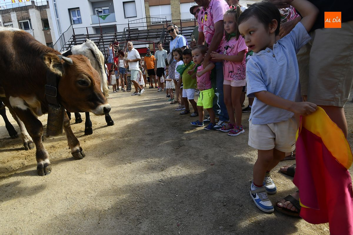 Moraleja forja su futuro taurino con un encierro infantil de minibueyes