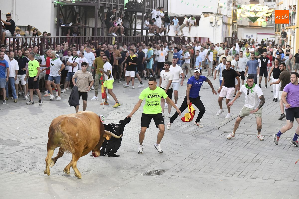 Las calles de Moraleja vibran con música y toros en honor a San Buenaventura