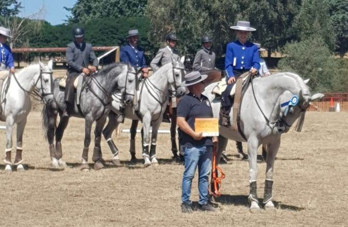Fuenteguinaldo cumple 10 años como referencia de la Equitación de Trabajo