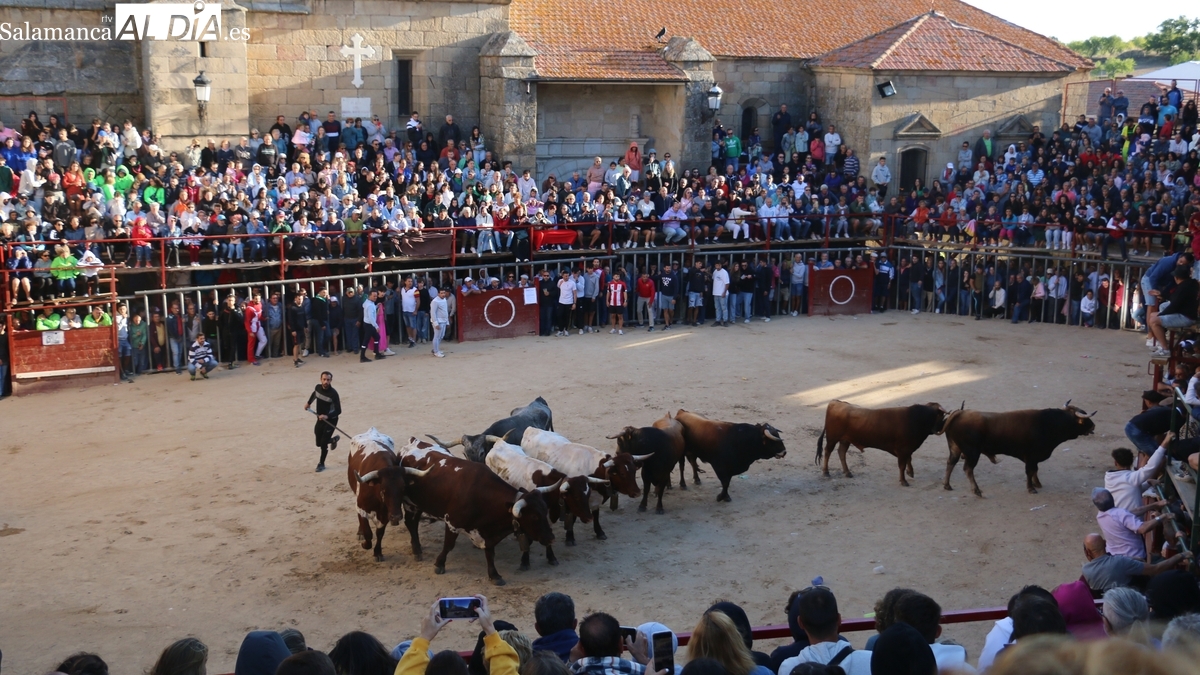 Aldeadávila calienta motores para sus fiestas con un primer fin de semana de agosto de lo más taurino
