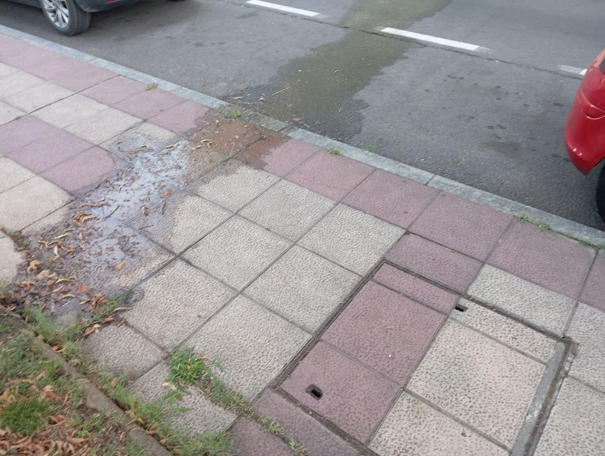 Denuncian una fuga de agua que lleva más de cinco días activa en la calle Poeta Jesús Rasueros de Salamanca