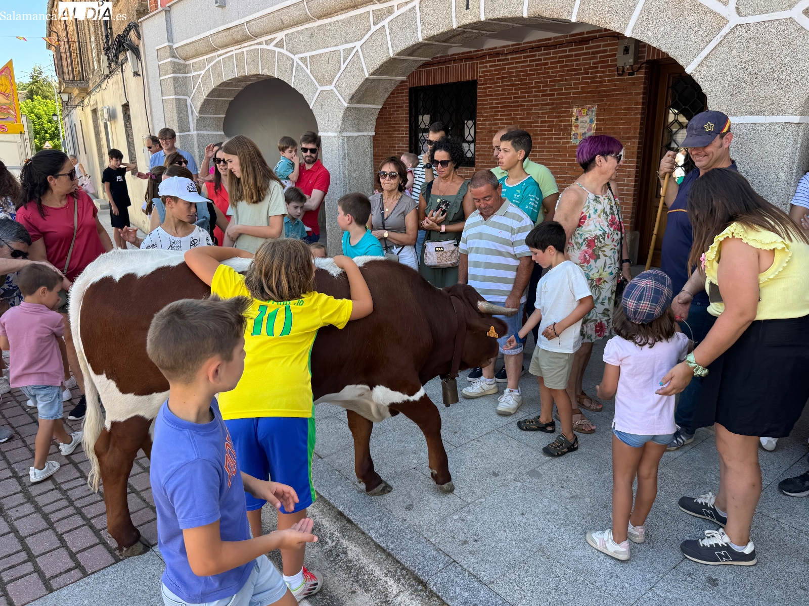 Divertido y multitudinario estreno del encierro con minibueyes en las fiestas de Santiago de la Puebla