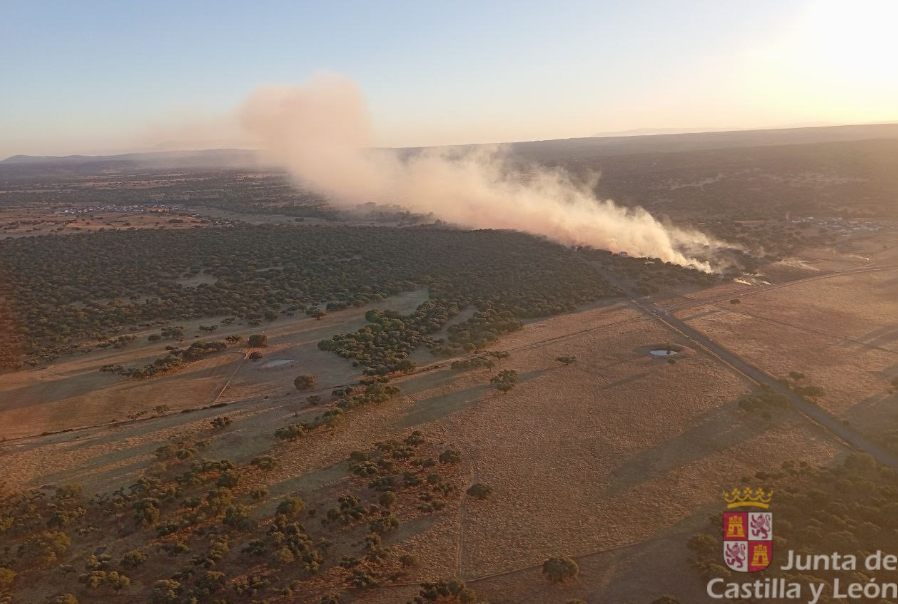 Un incendio intencionado calcina 14 hectáreas de pasto en Campillo de Azaba