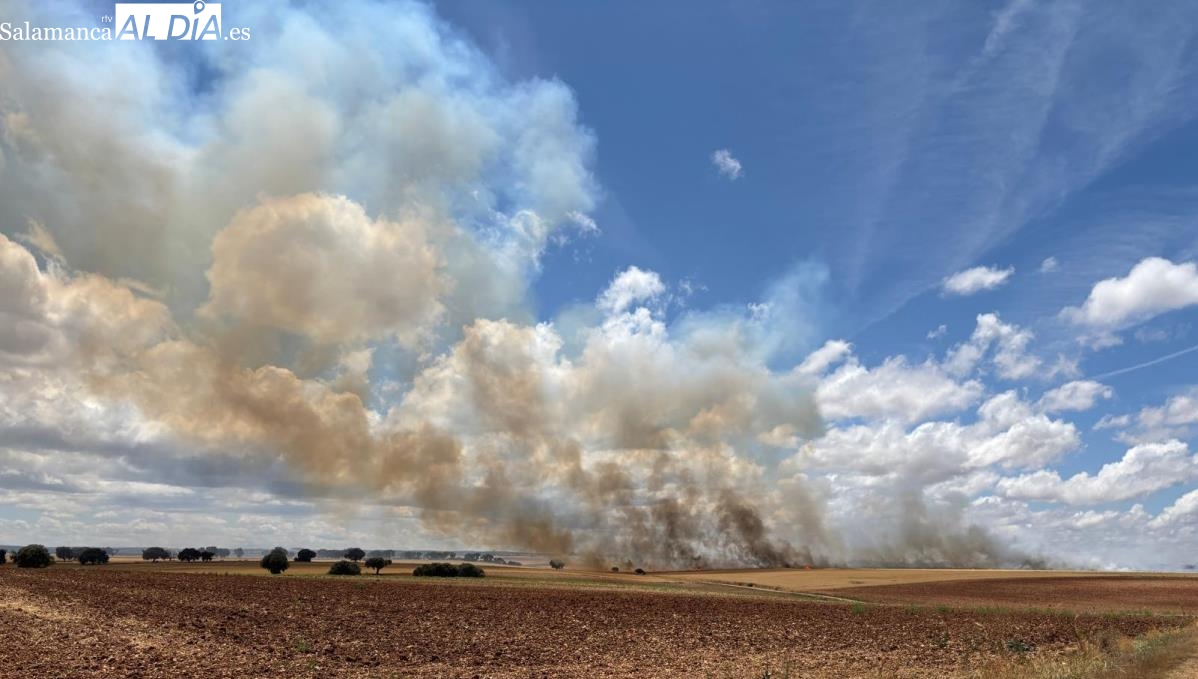 VÍDEO y FOTOS | La espectacularidad de un incendio en Pelabravo causa alarma al ser visible desde Salamanca