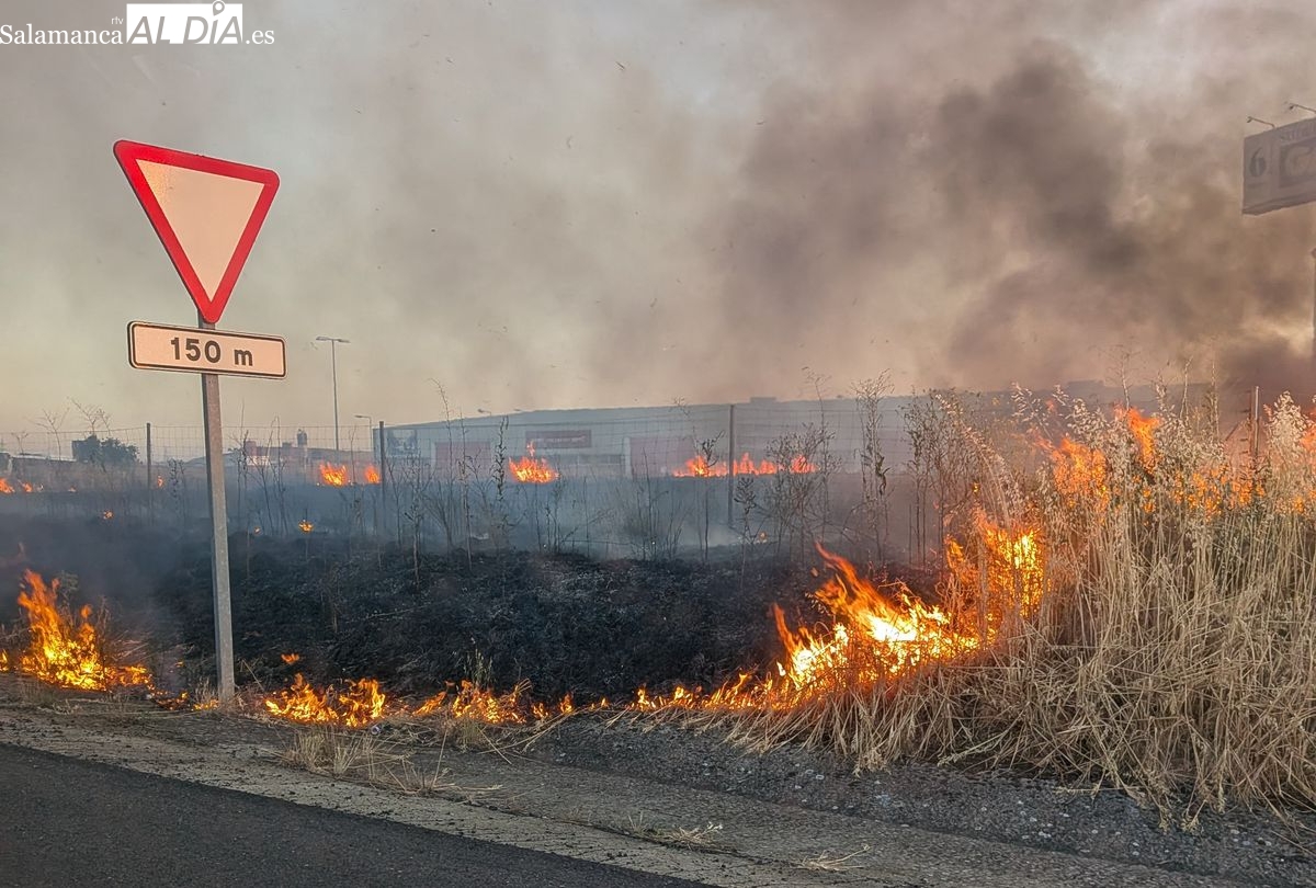 VÍDEO | La rápida intervención de los bomberos evita que un incendio en Villares de la Reina alcance la autovía