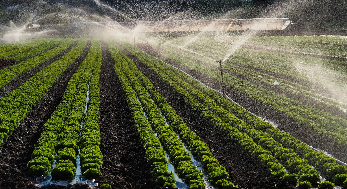 Gracias a los superhéroes 